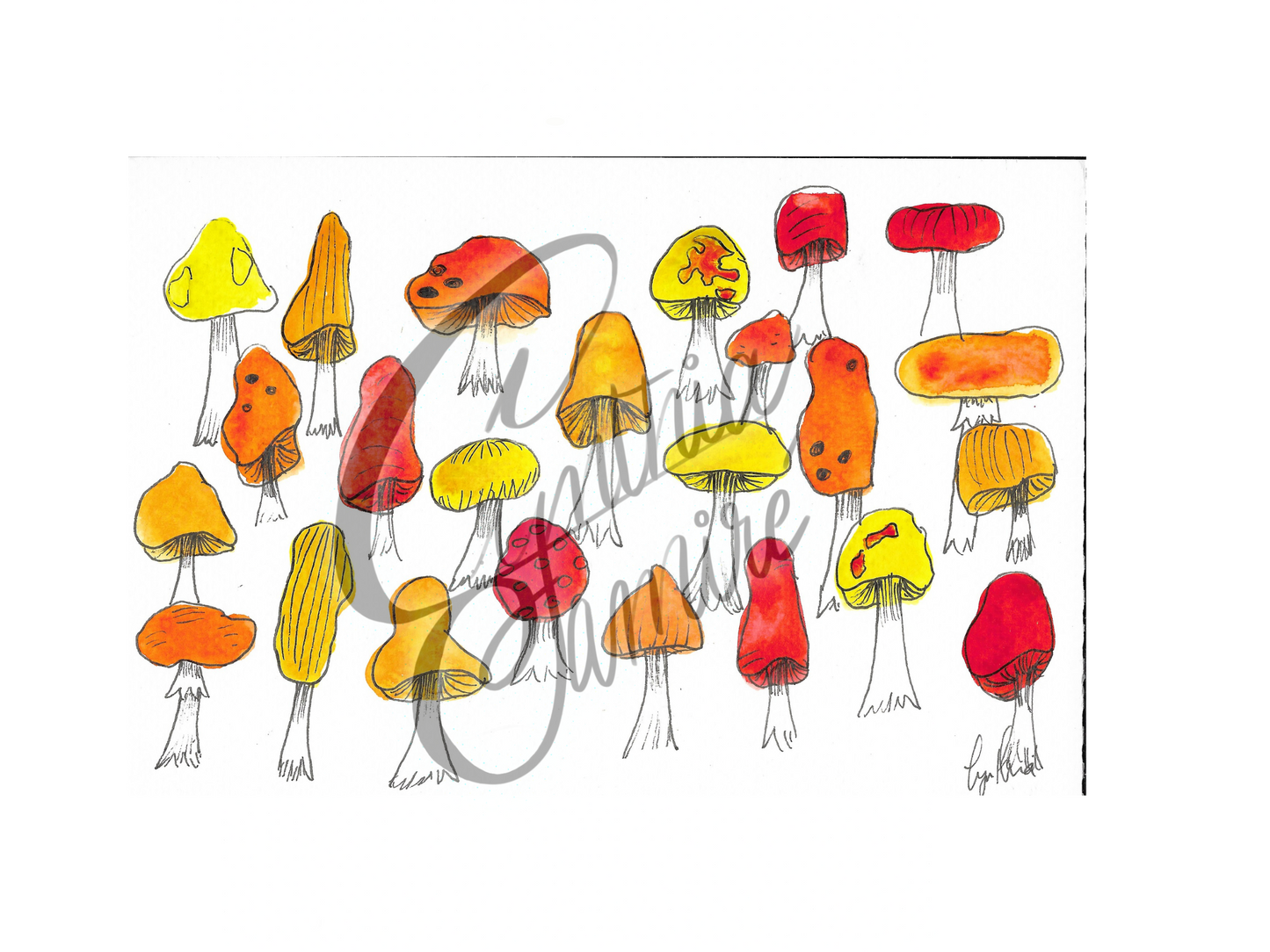 Nuée de champignons