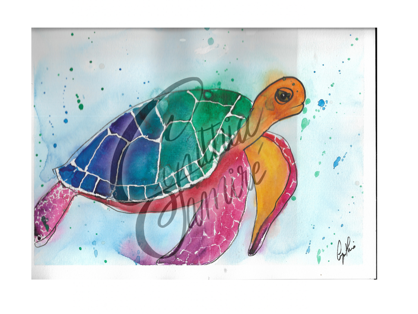 Tortue marine