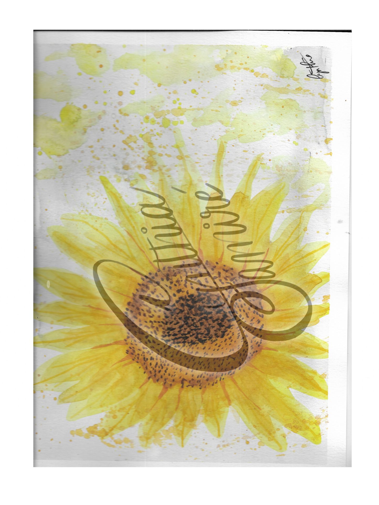 Tournesol