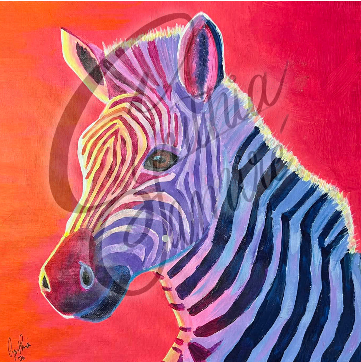 Zèbre sous le soleil