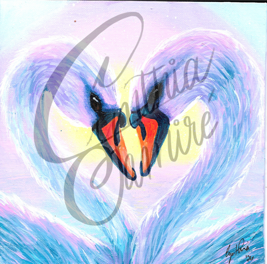 Cygnes amoureux