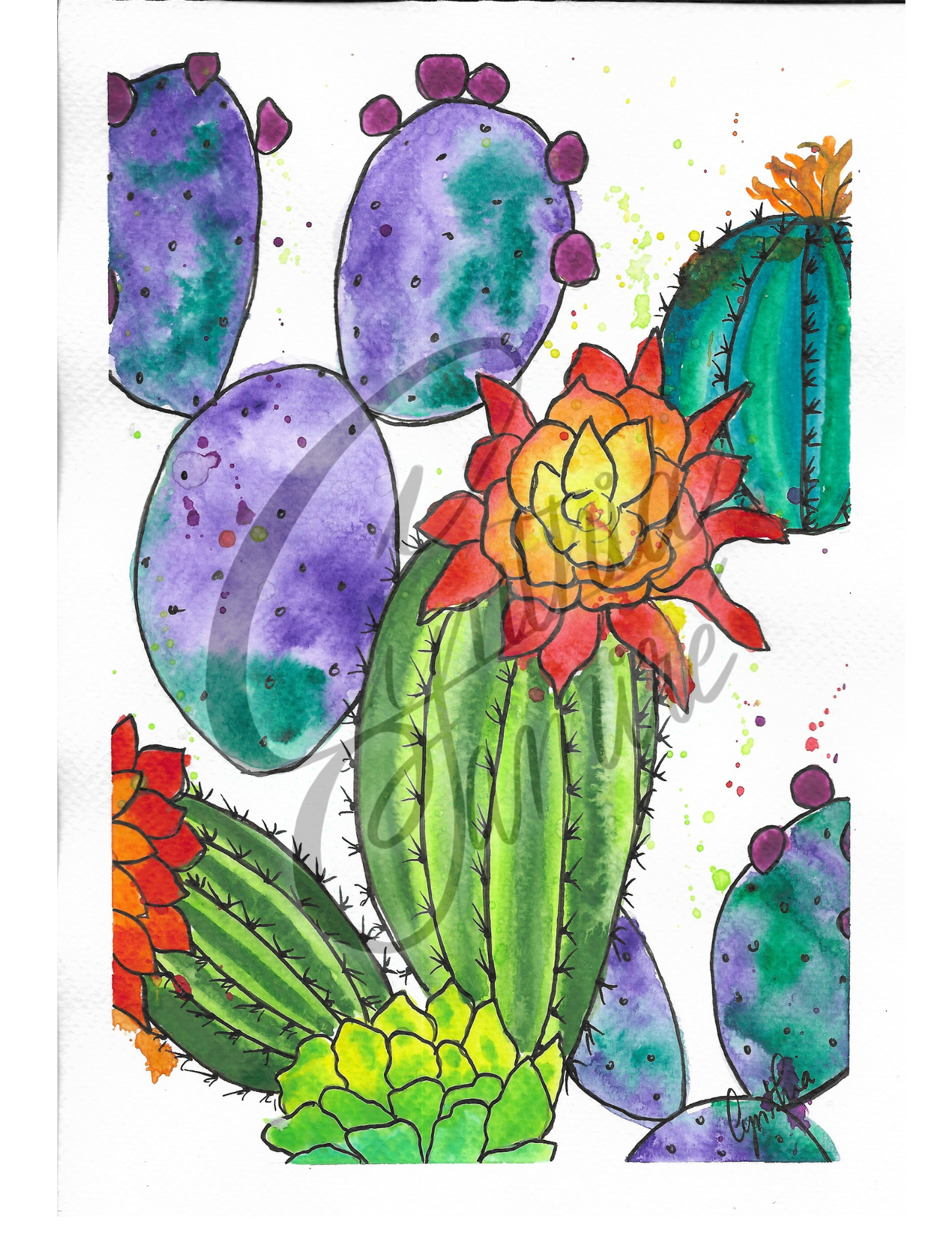 Fleur de cactus