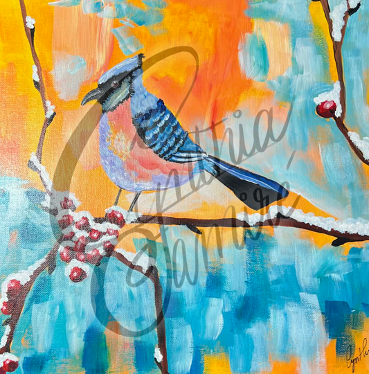 Geai bleu sous un soleil hivernal